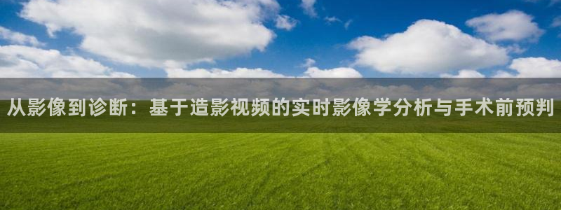 宅男视频一区：从影像到诊断：基于造影视频的实时影像学分析与手术前预判