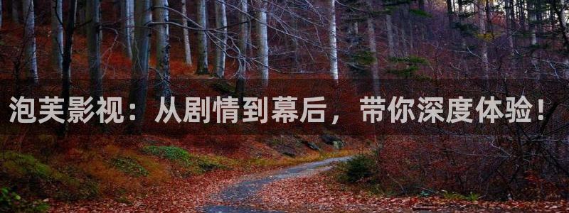 宅男视频免费观看下载：泡芙影视：从剧情到幕后，带你深度体验！