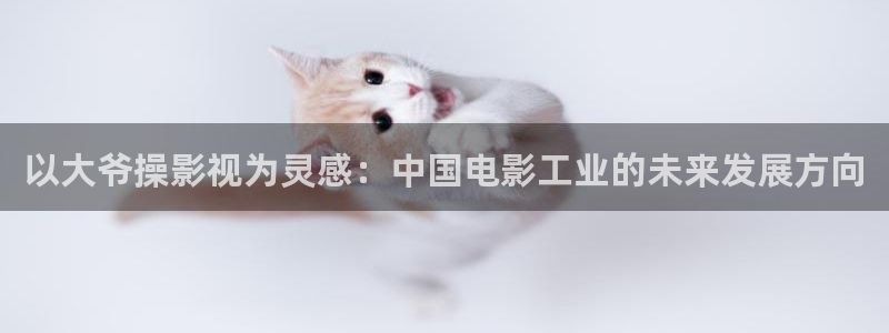 宅男视频免费在线播放：以大爷操影视为灵感：中国电影工业的未来发展方向