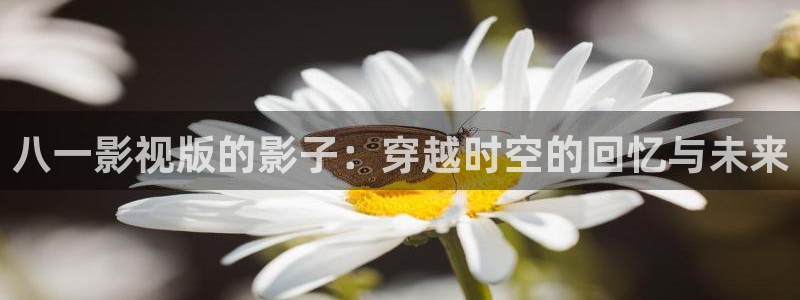 宅男视频最新地址：八一影视版的影子：穿越时空的回忆与未来