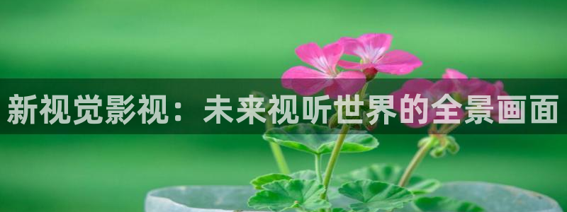 宅男视频k频道：新视觉影视：未来视听世界的全景画面