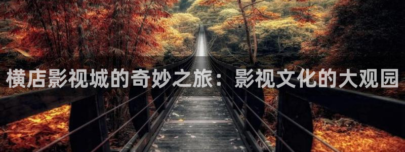 宅男视频在线网站：横店影视城的奇妙之旅：影视文化的大观园
