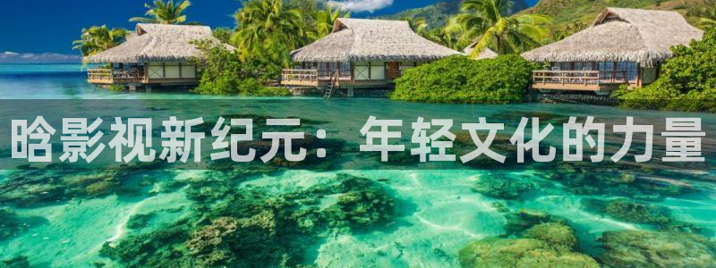 宅男视频免费在线播放：晗影视新纪元：年轻文化的力量