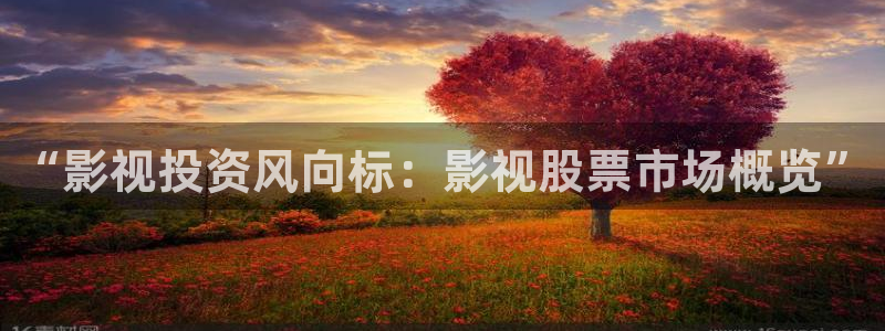在线下载宅男视频：“影视投资风向标：影视股票市场概览”